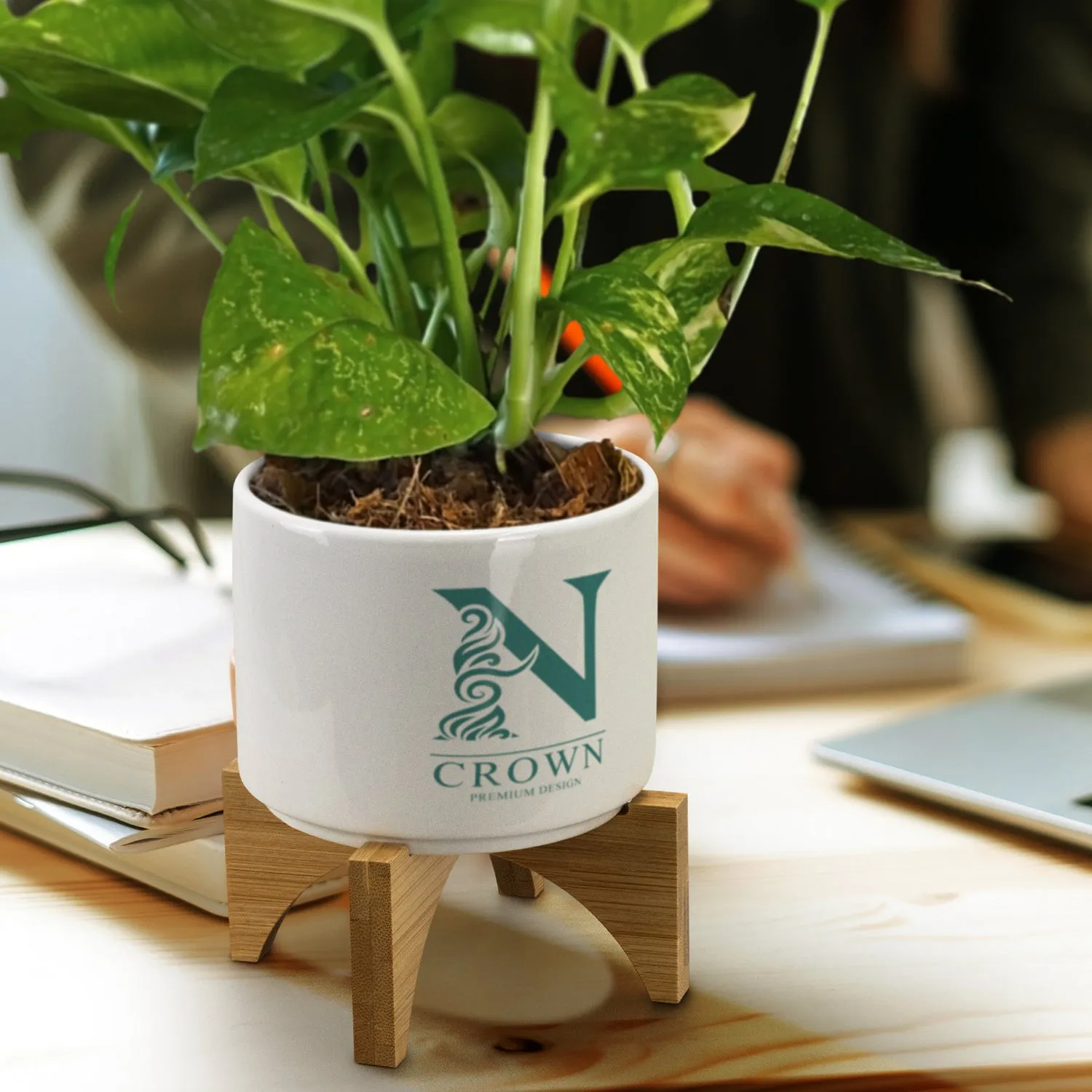 agogo Planter with Bamboo Base