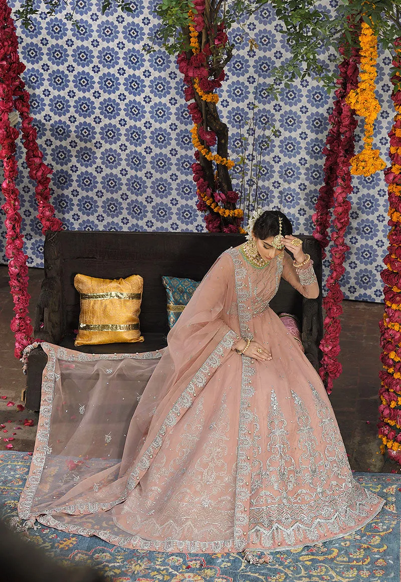 AJR-13 | Asim Jofa Rasm Wedding Collection