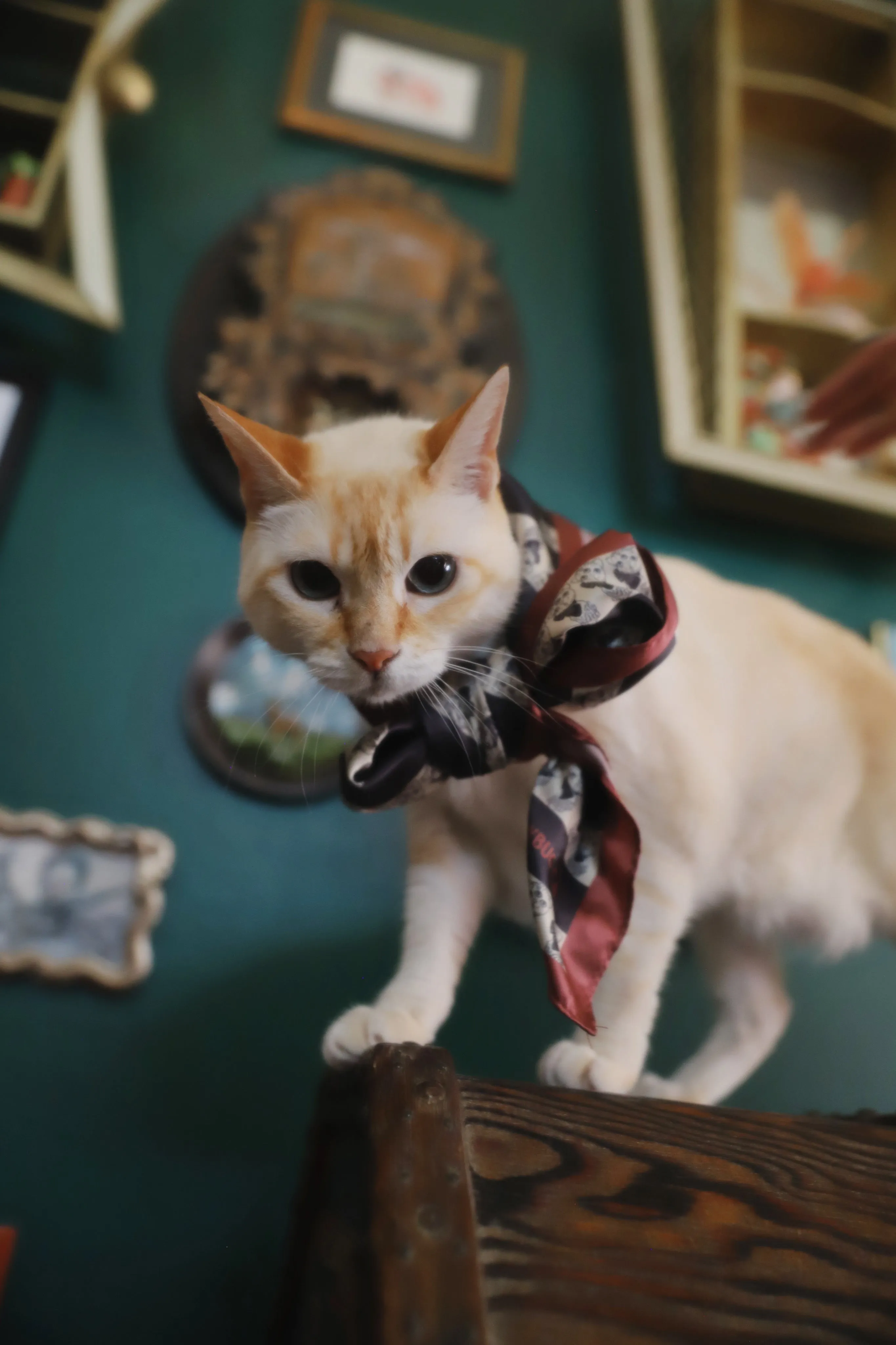 BITTER SQUEAKS X MISS LADYBUG CA COLLAB SCARF