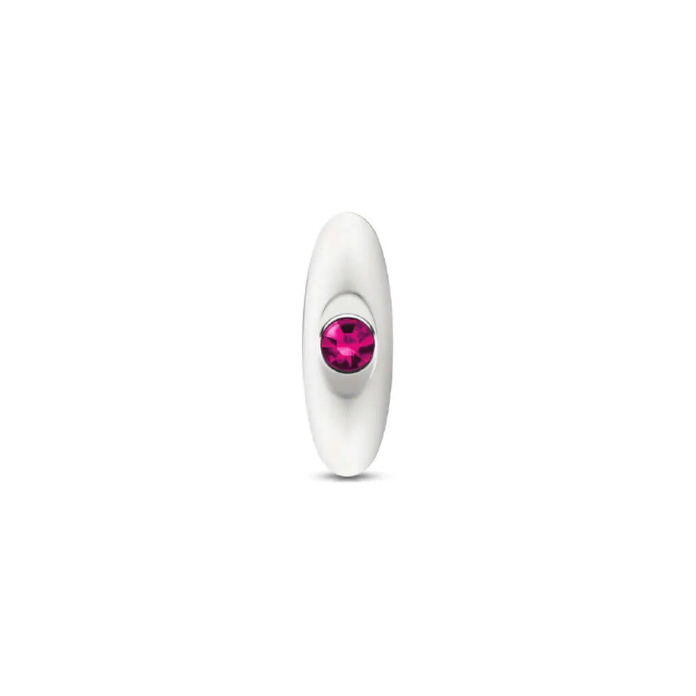 Cheeky Charms - Silver Metal Butt Plug Kit - Clear/ Bright Pink