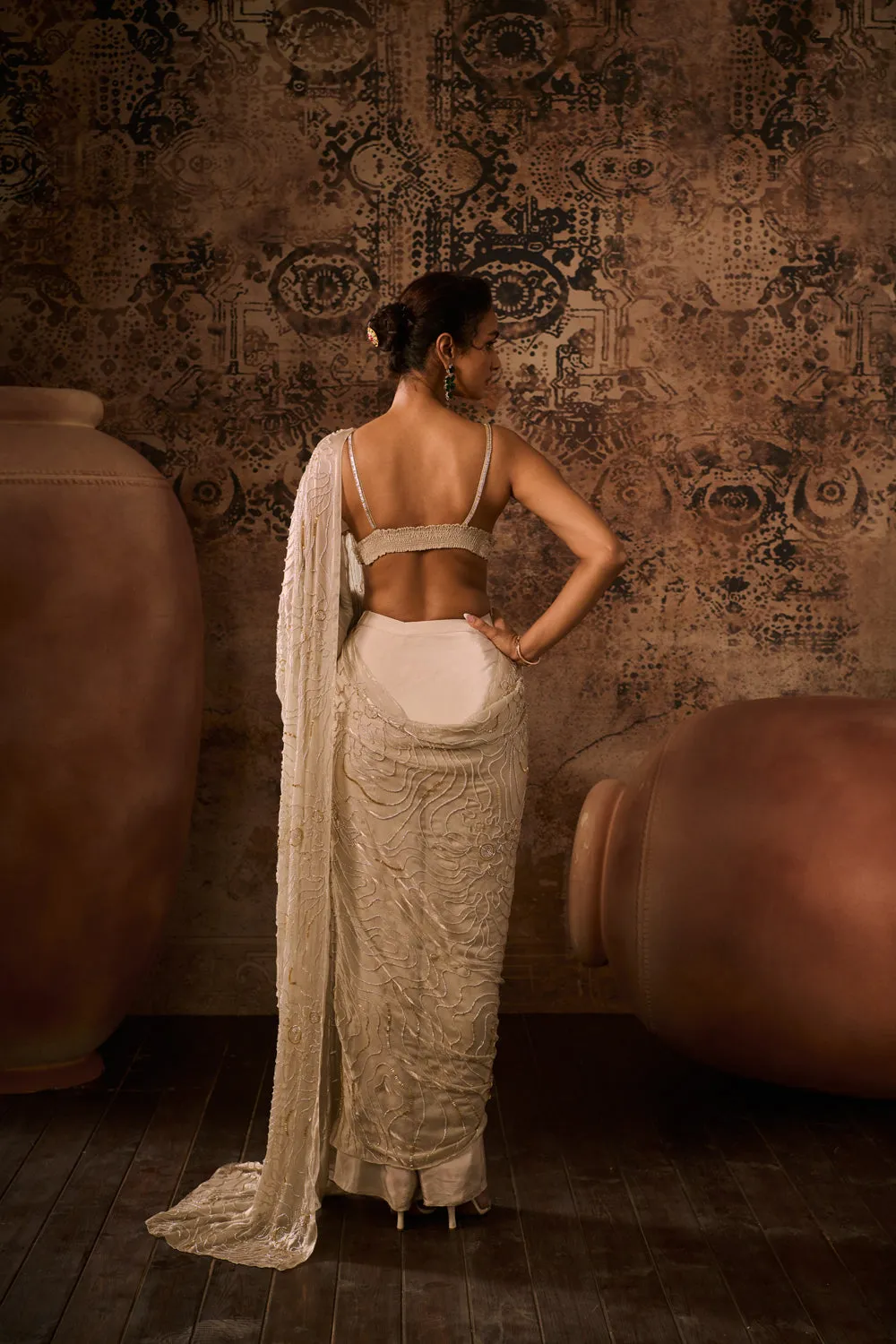 Chikoo Embroidered Blouse With Saree