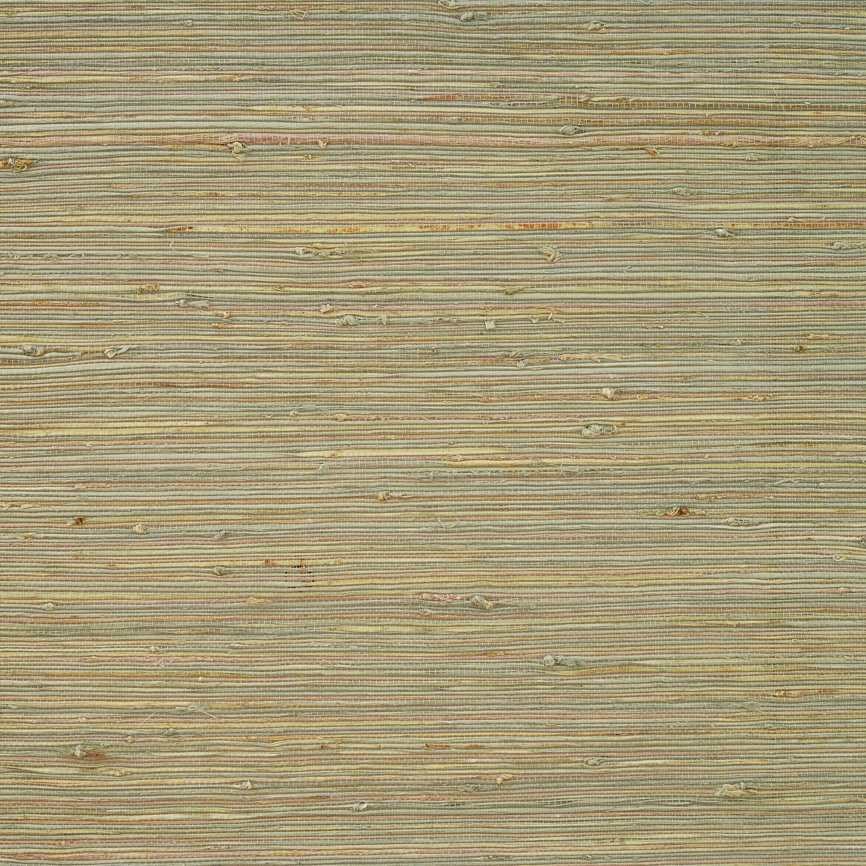 Cora Woven Bamboo Shade| Agave