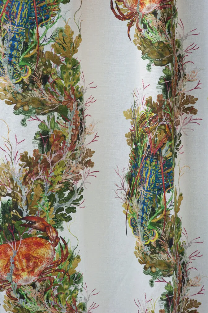 crab and lobster fabric