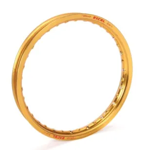 Excel GEG411 Gold 19" x 2.15" 32 Hole Takasago Rim