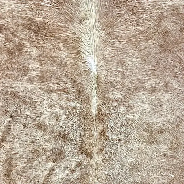 Extra Large Brown Cowhide Rug Size 5.7 x 7.4 ft---5077