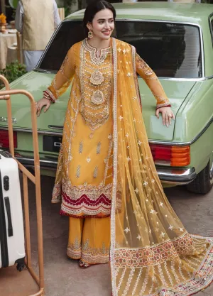 Golden Glow: Qalamkar Shadmani Organza 3pc