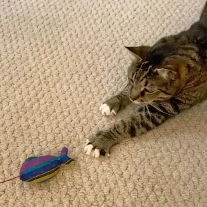 Hand Woven Catnip Toy | Cobalt Stripe