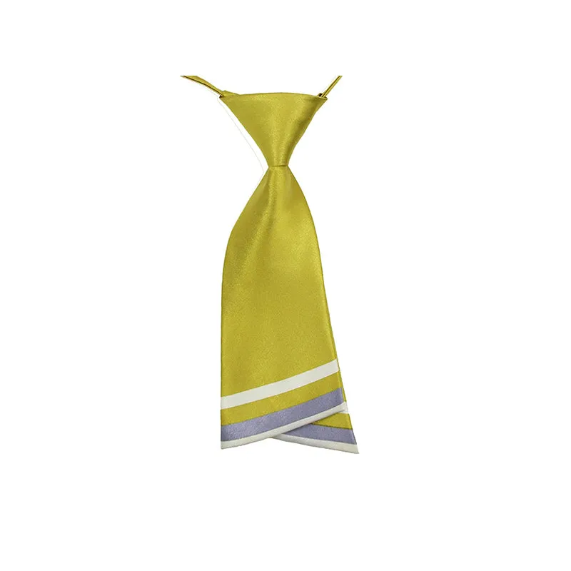 HANERDUN Womens Tie Bowtie Ladies Pre Tied Silk Necktie Costume Accessory Gift Idea