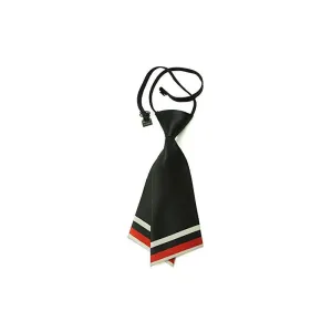 HANERDUN Womens Tie Bowtie Ladies Pre Tied Silk Necktie Costume Accessory Gift Idea