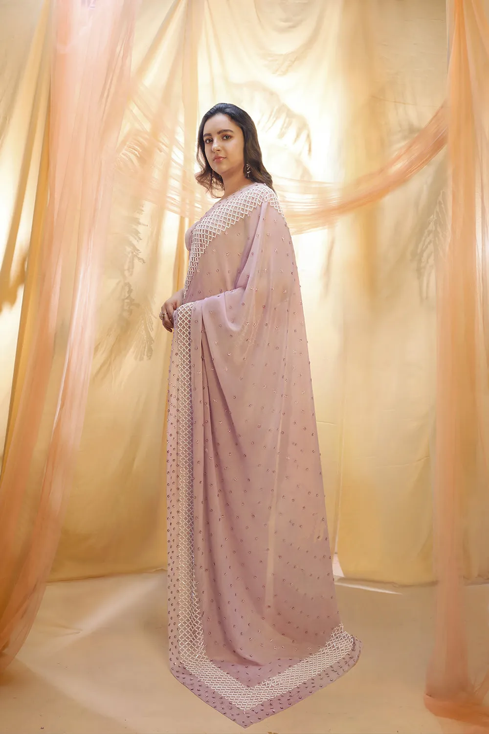 Lilac Saree With Corset Blouse