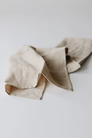 Linen Napkins Set of 2