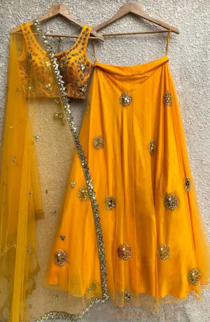Mango Mirror Lehenga Set
