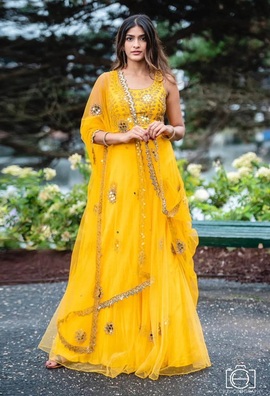 Mango Mirror Lehenga Set