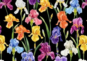Multicolor Floral Pattern Fabric - Big Flowers on Black Background