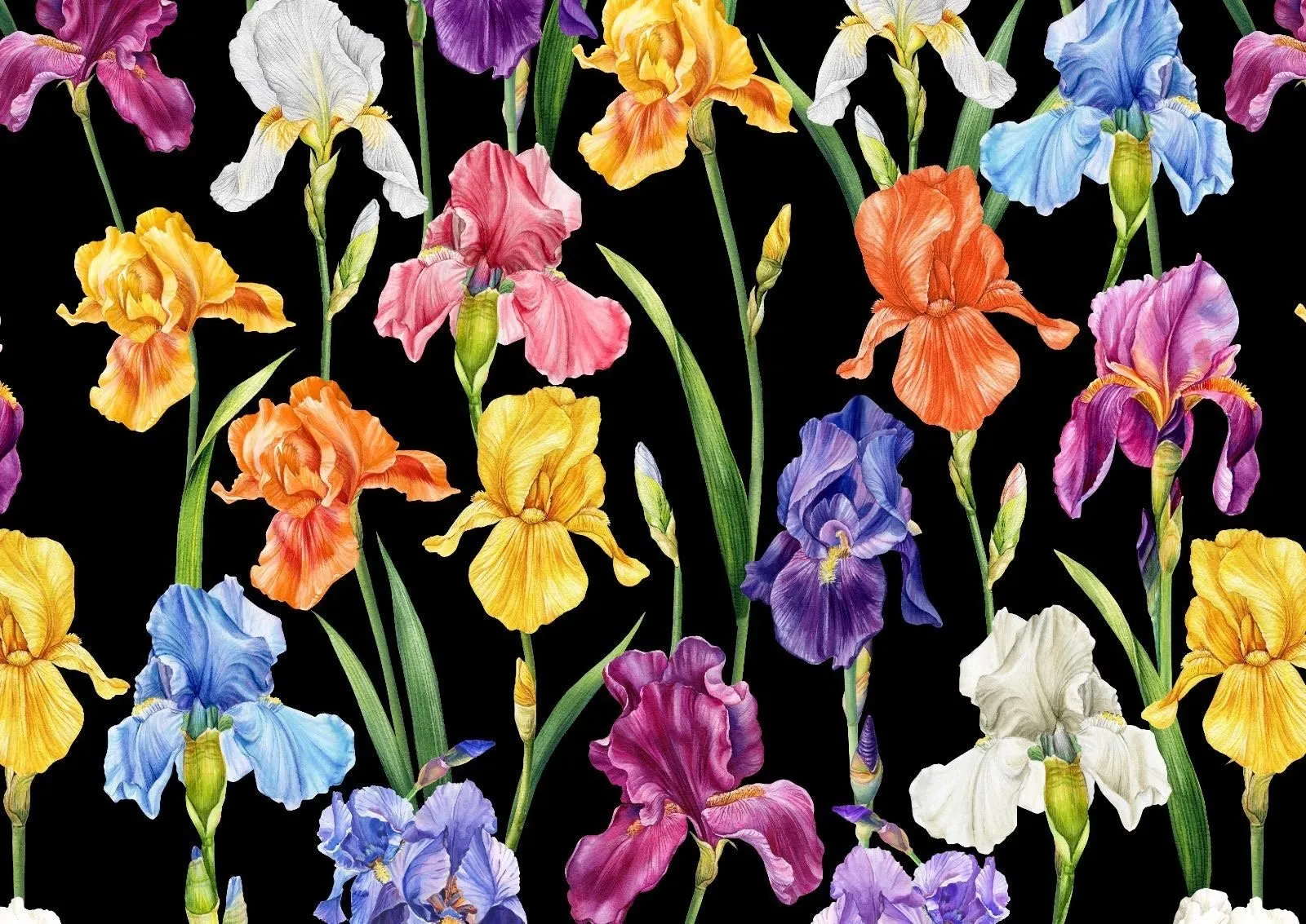 Multicolor Floral Pattern Fabric - Big Flowers on Black Background