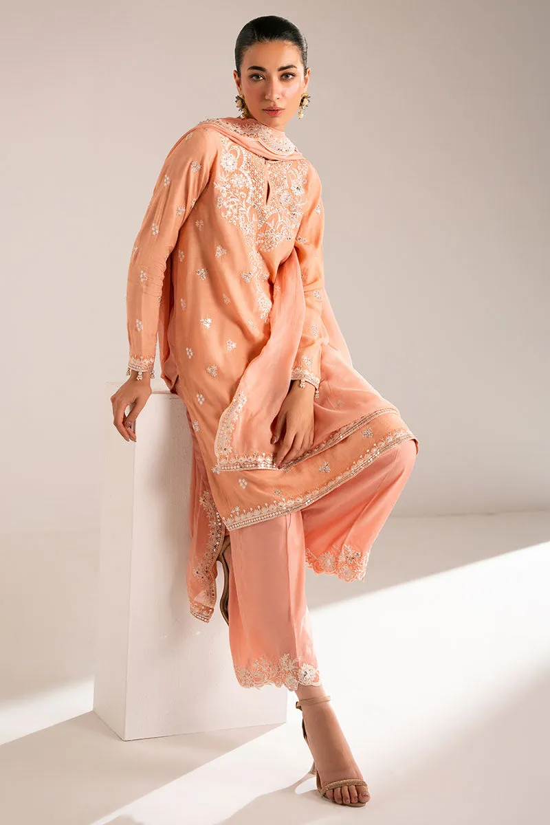 MUTED CLAY-3PC (SHIRT, TROUSER & DUPATTA)