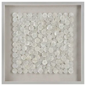 Oyster Shell Shadowbox