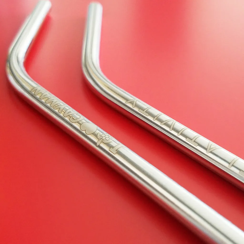 Personalized Stainless Steel Straws