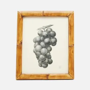 Pigeon and Poodle Greely 4x6 frame