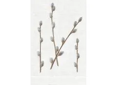 Pussywillow Guest Towel