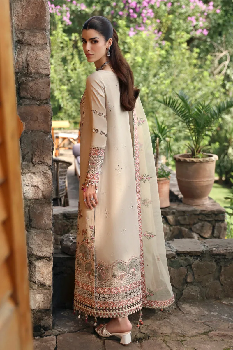 QALAMKAR Q-LINEKARI LINEN '24 | LM-11 ZIA