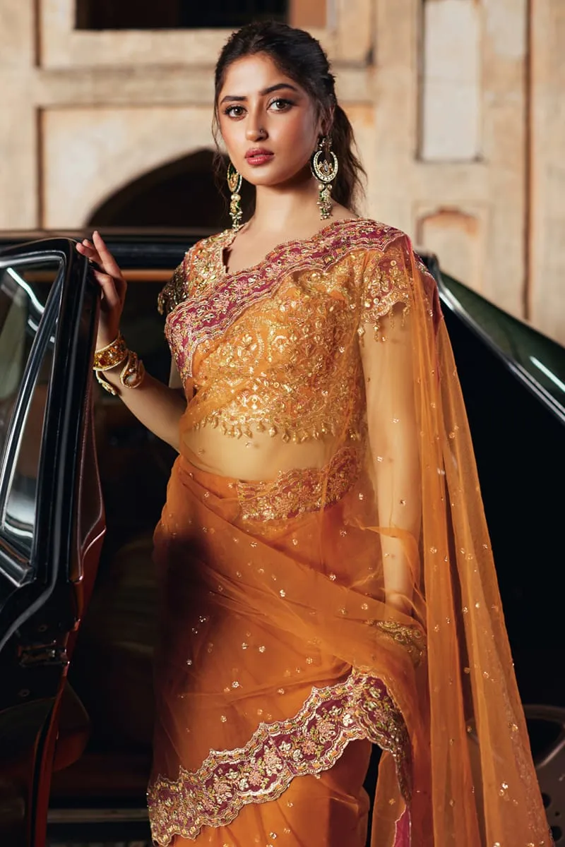 Qalamkar Shadmani Luxury Formals '24 | Raniya SH-02