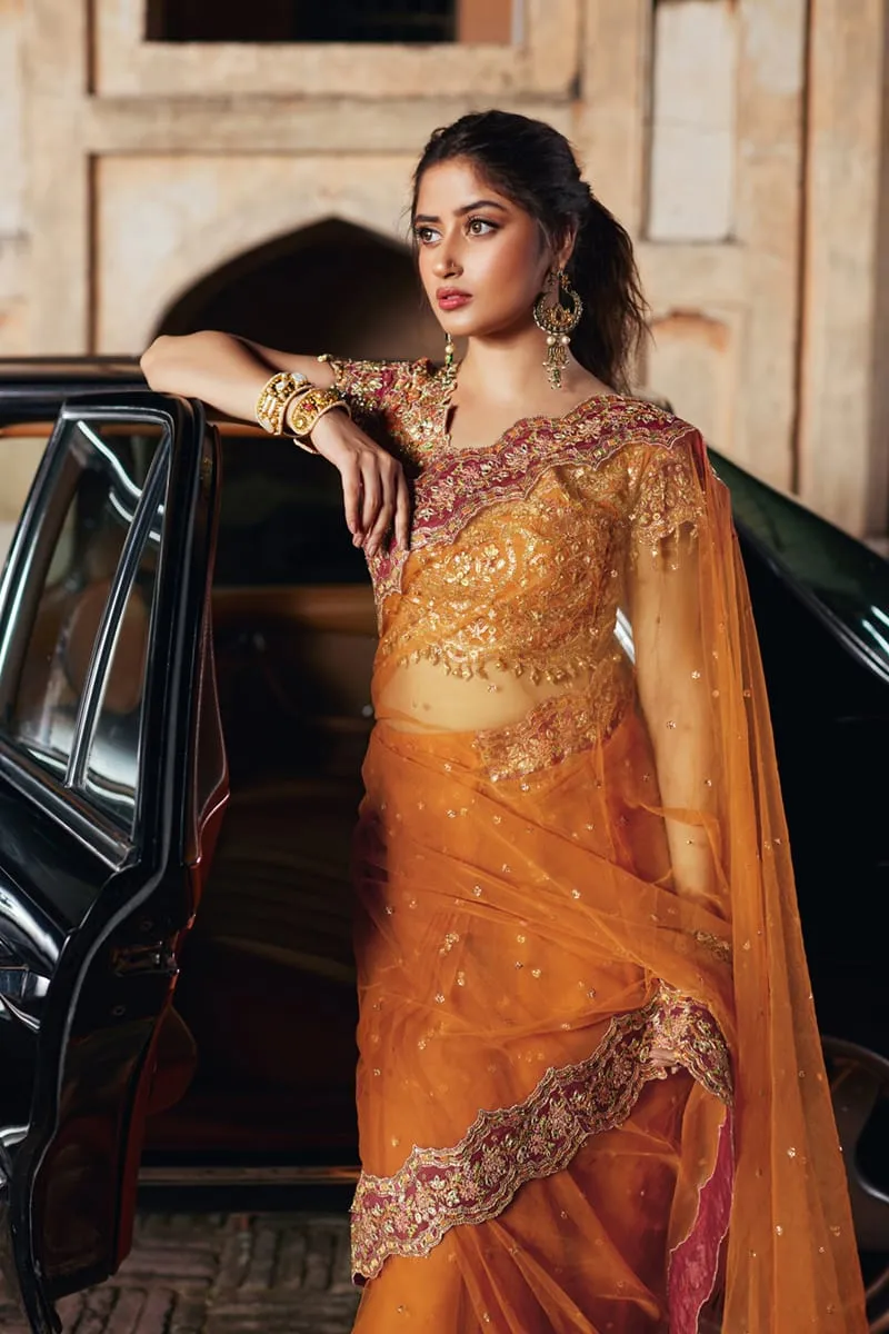 Qalamkar Shadmani Luxury Formals '24 | Raniya SH-02