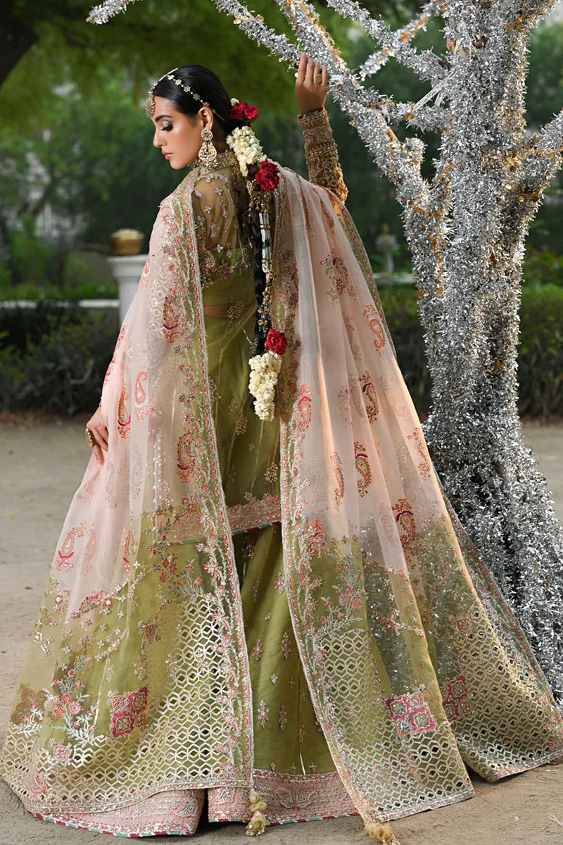 QALAMKAR | SINGHAR-WEDDING FORMALS '24 | RF-07 HALENA
