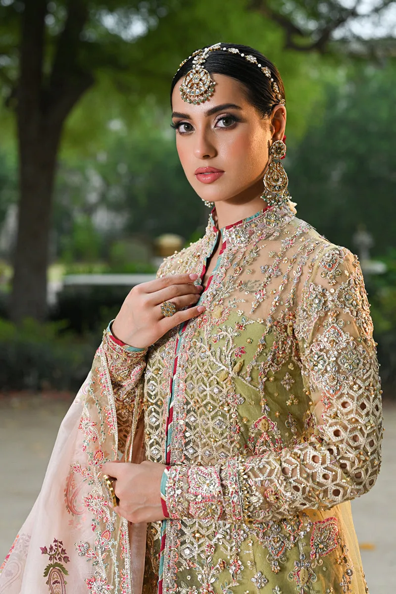 QALAMKAR | SINGHAR-WEDDING FORMALS '24 | RF-07 HALENA