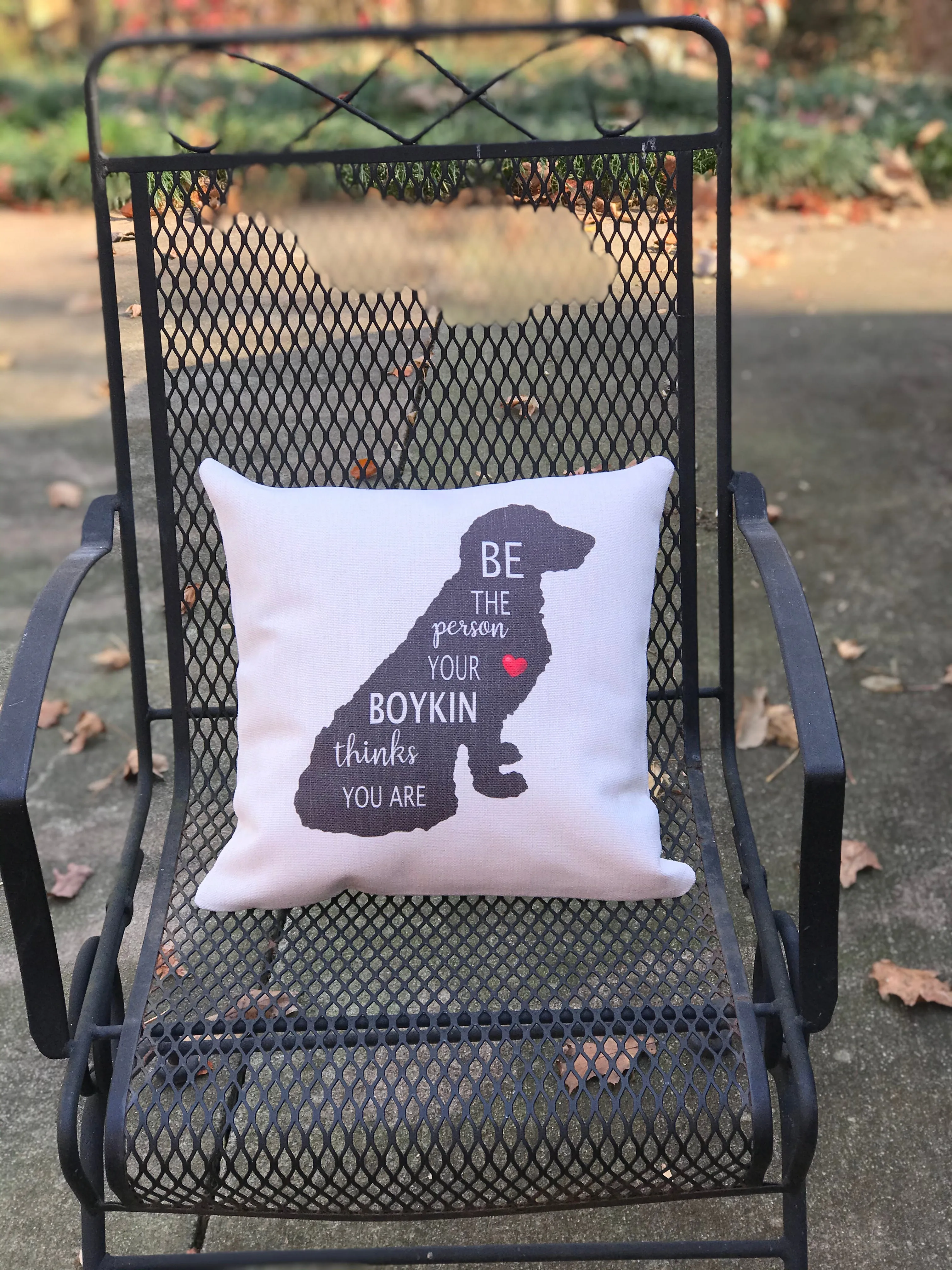 "Be the Person" Boykin Pillow Cover