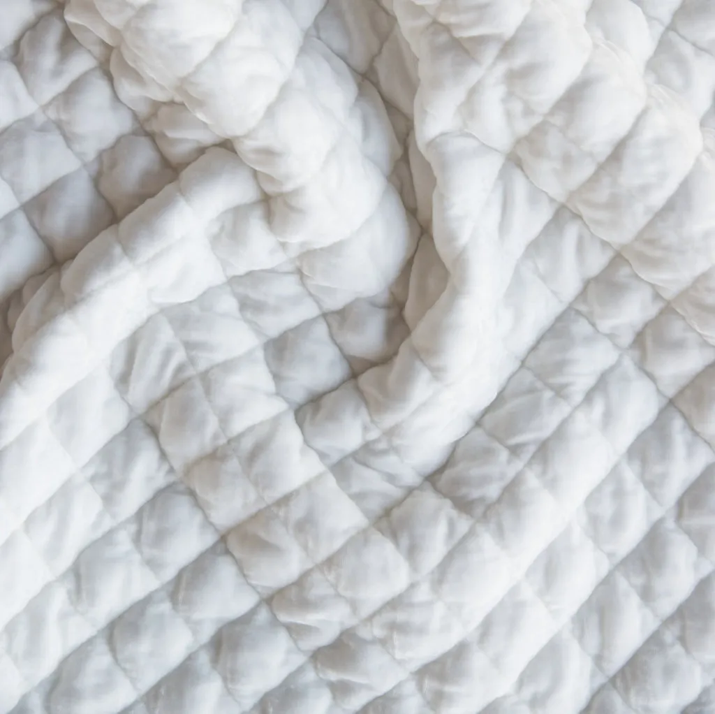 Silk Velvet Quilted Coverlet - Winter White - Queen