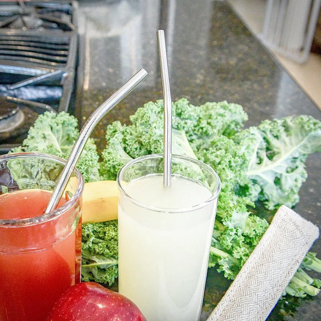 Stainless steel smoothie straw with sleeve and brush