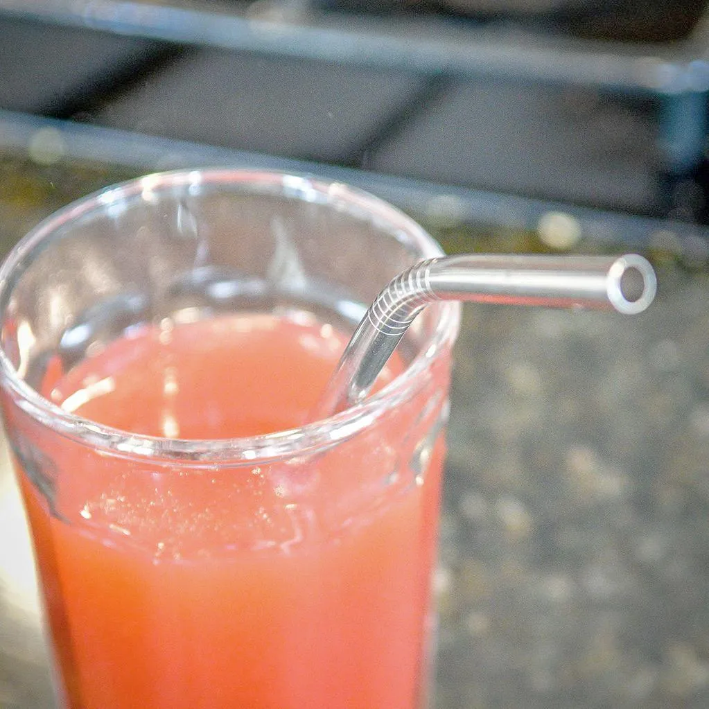 Stainless steel smoothie straw with sleeve and brush