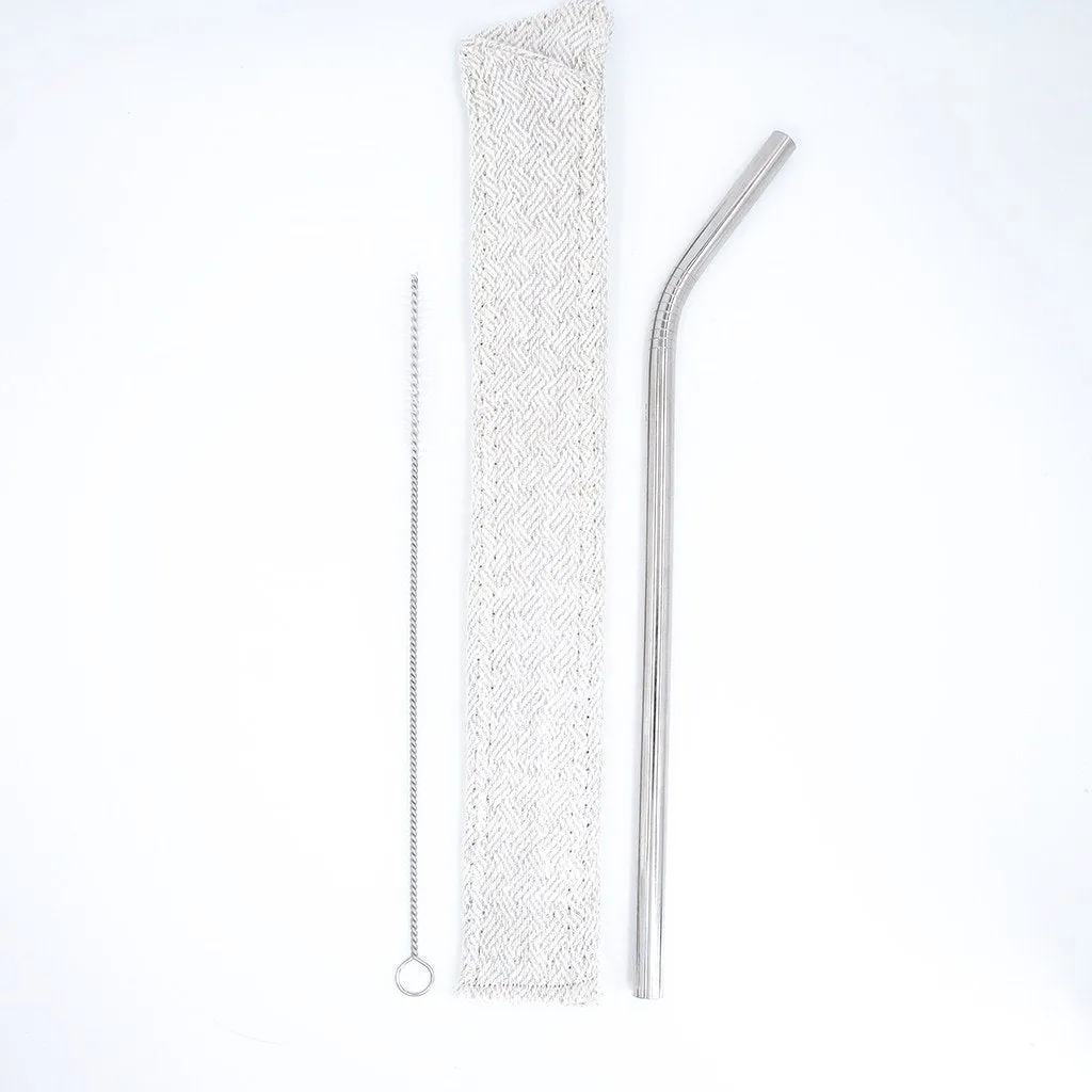 Stainless steel smoothie straw with sleeve and brush