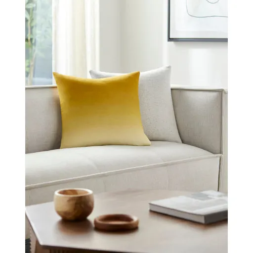 Stylish Nuance Decorative Cushion