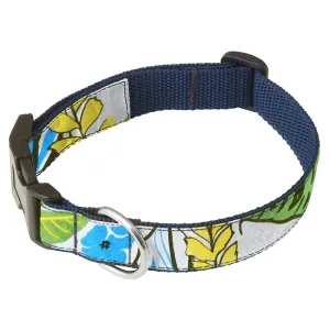 Tongass - Dog Collar