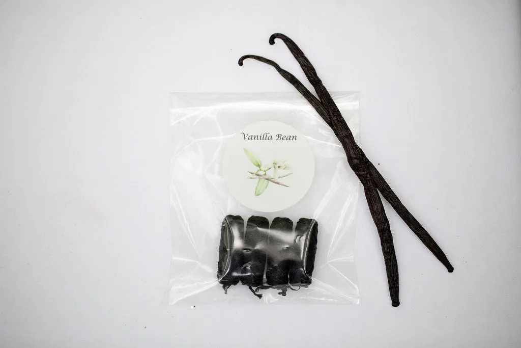 Vanilla Bean No Knot Floss Refills 4-pack